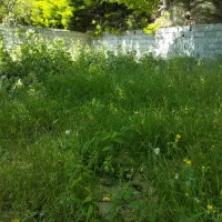 علف تراشی و هرس کاری