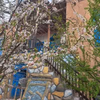 اقامتگاه بومگردی پنجره آبی (سوئیت)|اجارهٔ کوتاه‌مدت آپارتمان و سوئیت|زبرخان, |دیوار