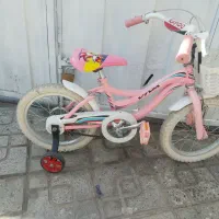 دوچرخه ۱۲ و ۱۶|دوچرخه، اسکیت، اسکوتر|تربتحیدریه, داروپخش|دیوار