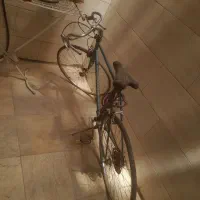 دوچرخه کورسی برند پیکان ساخت ژاپن (shimano) شیمانو|دوچرخه، اسکیت، اسکوتر|فردیس, فردیس|دیوار