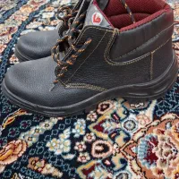 پوتین ایمنی