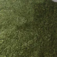 نعناع وشویدخشک درجه یک