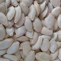 خرـ ید تخمه کدو اجیلی