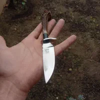 چاقو شاخ شوکا