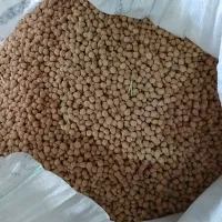 نخود|خوردنی و آشامیدنی|دورود, |دیوار