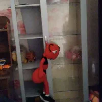 بوفه سیسمونی و کتابخانه