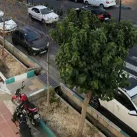 45متر-سندتجاری-مناسب-آرایشگاه-زنانه-چسب-مترو-رودکی