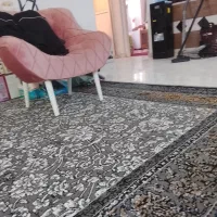 نظافت وجابه جایی اساسی منزل