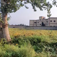 فروش زمین کشاورزی ۱۶۰۰ متری ، کنار فنی حرفه ای