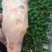 پاچه گوساله