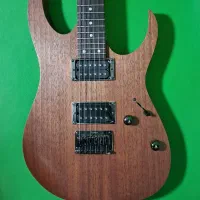 گیتار الکتریک آیبانز - Ibanez RG421 Mol