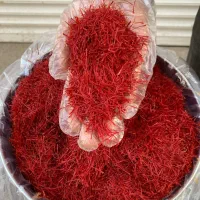 زعفران خشکنی دهخدا