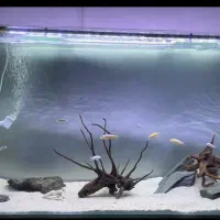 آکواریوم شیشه خم