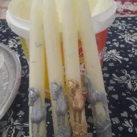 شمع ۲۰سانتی