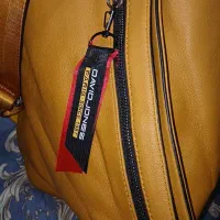 کوله فانتزی دیوید جونز|کیف، کفش، کمربند|تهران, بازار|دیوار