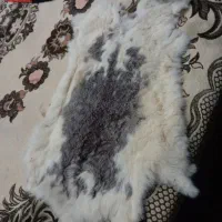 پوست خرگوش