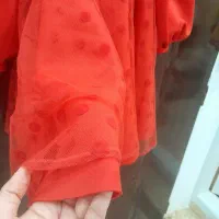 سایز ۳۸ تا ۴۲|لباس|کومله, |دیوار