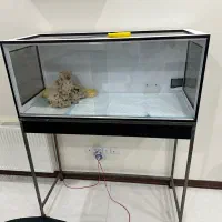 تراریوم نو محکم و سالم