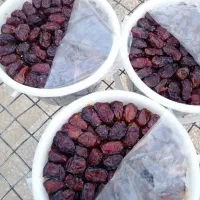 خرمای خاصویی درجه یک بهبهان تازه برداشت امسال|خوردنی و آشامیدنی|تهران, مرزداران|دیوار