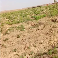 3330متر زمین یک ساعت آب در روستا درخت بسته