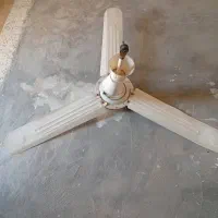 فروش پنکه سقفی|پنکه و تصفیه‌کنندهٔ هوا|لیکک, |دیوار