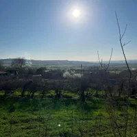 ویلا سوئیسی وسوئیت|اجارهٔ کوتاهمدت ویلا و باغ|سورک, |دیوار