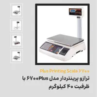 ترازوی صندوق دار و چابگر دار رادین