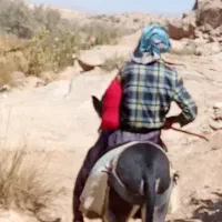 فروش الاغ نرگله ای درجه یک وهشت راس میش درجه یک