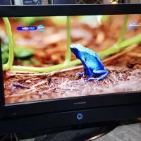 تلویزیون ۳۲ و۲۲