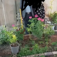 فروش خونه|فروش خانه و ویلا|مشهد, ارشاد|دیوار