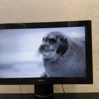 تلویزیون 32 اینچ LCD سونی مدل براویا