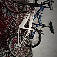 دوعدوچرخه20|دوچرخه، اسکیت، اسکوتر|شیراز, حجت آباد|دیوار