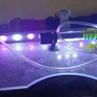 آکواریوم با لوازم|ماهی|پردیس, فاز ۸|دیوار