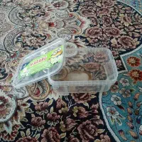 ظروف پلاستیکی
