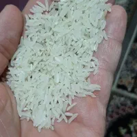 فروش برنج فجر گرگان