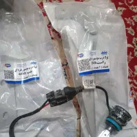 دو عدد لولا کاپوت با هدلایت