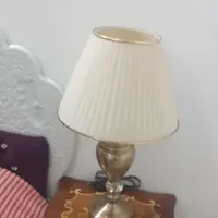 دو عد اباژور کنار تختی