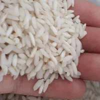 سالم ونیم دانه درشت بروجردونخودداخل شهر از کشاورز