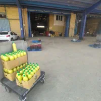 ابلیمو1/3لیتر