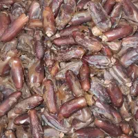 خرمای شاهانی لارستان