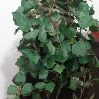 ۷عدد گلدان نو گل مصنوعی ودیوارکوب یکجا|گل مصنوعی|تهران, جی|دیوار