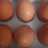 تخم مرغ محلی