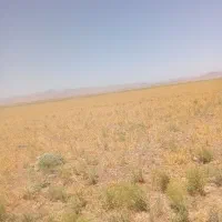 زمین فروشی دوکله|فروش دفتر صنعتی، کشاورزی، تجاری|تاکستان, |دیوار