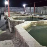 سرایدار آقا جهت پرورش ماهی