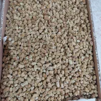 توت خشک سفید ودرشت