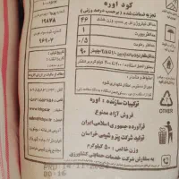 کودسفید