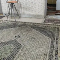 اجاره خانه ویلایی ۶۰ متری ۱ خوابه در شهرک کوشکک|اجارهٔ خانه و ویلا|شیراز, شهرک کوشکک|دیوار