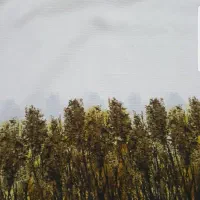 پارچه مانتو و کراپ شلوار ورزشی(ست باشگاه نو)