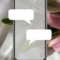 اجاره اتاق و صندلی در همه لاین ها در سالن زیبایی