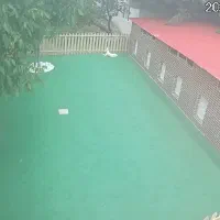 پانسیون سگ طولانی مدت|خدمات پیشه و مهارت|تهران, ایران|دیوار